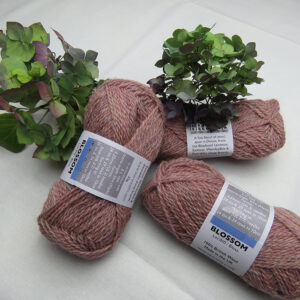 Marie Wallin - British Breeds - Blossom